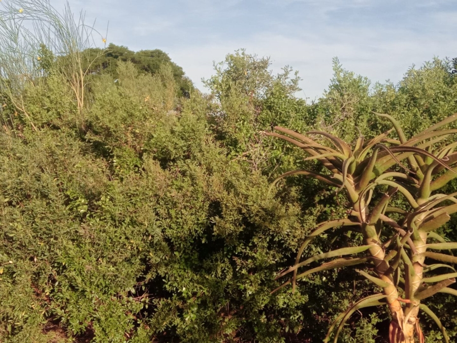 Commercial Property for Sale in Paradise Beach Eastern Cape